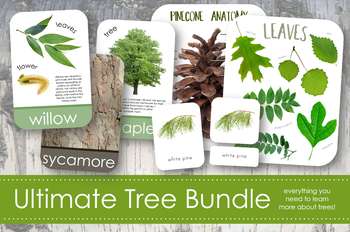 Preview of Ultimate Tree Bundle for Exploring Trees and Leaves- Montessori