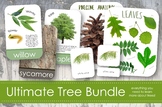 Ultimate Tree Bundle for Exploring Trees and Leaves- Montessori
