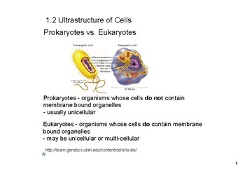 Preview of Ultrastructure of Cells SMART notebook lesson (IB biology syllabus topic 1.2)