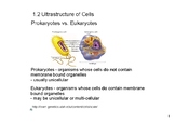 Ultrastructure of Cells SMART notebook lesson (IB biology 