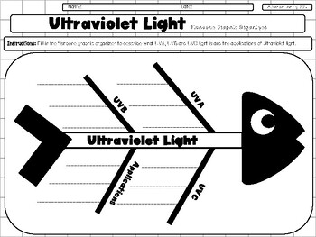 Preview of Ultraviolet Light: Fishbone Graphic Organizer