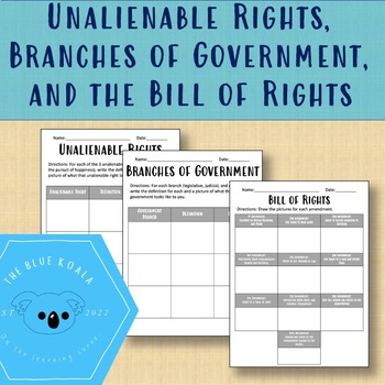 Preview of Unalienable Rights, Branches of Gov., and the Bill of Rights - Social Studies