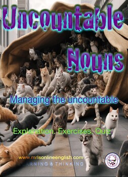 Preview of Uncountable Nouns Booklet