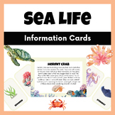 Under The Sea Information Cards