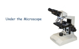 Under the Microscope: Multiple Choice Quiz    