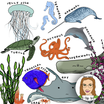 Preview of Under the Sea Illustrations Clip Art