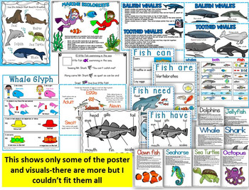 Whale Coloring Book For Kids Ages 4 - 8: Ocean Animals Sea Life