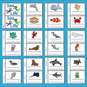 Under the Sea Word Wall Cards, Mini Book and Activities | TpT