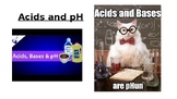 Understanding Acids, Bases, and pH Levels