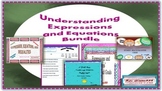 Understanding Expressions and Equations Bundle
