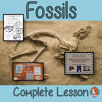 Understanding Fossils - Complete Lesson by The Ginger Teacher | TpT