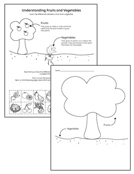 Understanding Fruits and Vegetables Worksheet Set by My Teaching Station