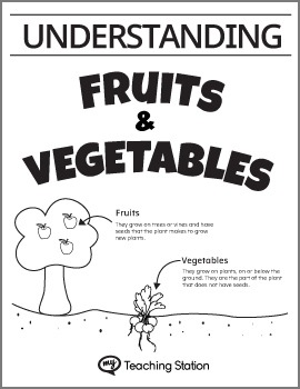 Preview of Understanding Fruits and Vegetables Worksheet Set