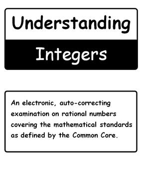 Preview of Understanding Integers Electronic (Microsoft Excel) Examination