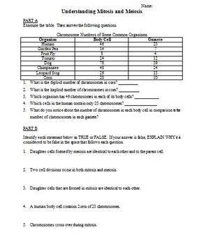 Preview of Understanding Mitosis and Meiosis