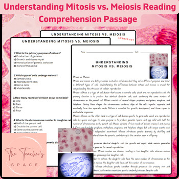 Preview of Understanding Mitosis vs. Meiosis Reading Comprehension Passage