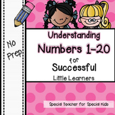 Understanding Numbers to 20  *NO PREP* | Distance Learning