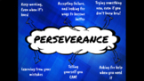 Understanding Perseverance