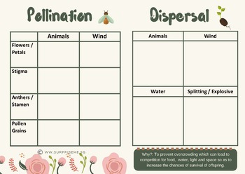 Preview of Understanding Plants Reproduction (Fun Review Activities)