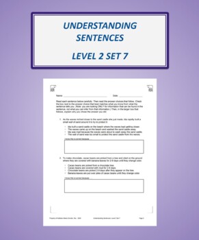 Preview of Understanding Sentences: Level 2 Set 7