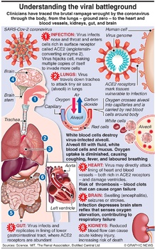 Preview of Understanding coronavirus battleground infographic