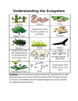 examples of ecosystems for kids