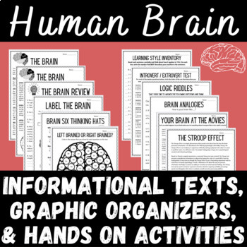 Preview of Understanding the Human Brain Reading Passages and Engaging Activities
