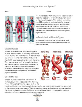 Preview of Understanding the Muscular System