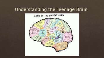 Preview of Understanding the Teenage Brain