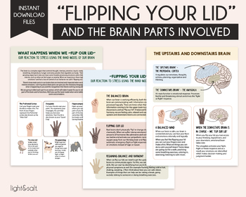 Preview of Understanding your Brain when you flip your lid, Brain and Neuroscience Therapy