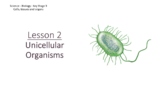 Unicellular Organisms: PowerPoint Lesson and Worksheets | Biology