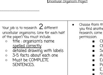 Preview of Unicellular Organisms Project Rubric