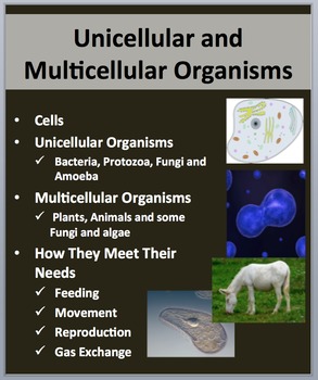 Preview of Unicellular and Multicellular Organisms - PowerPoint Lesson