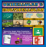 Unicellular vs Multicellular: Interactive Google Slides + 