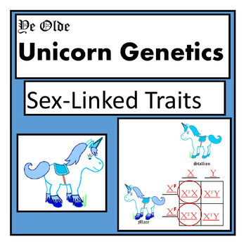 Unicorn Genetics Sex Linked Traits Punnett Squares Worksheet (Genetics)