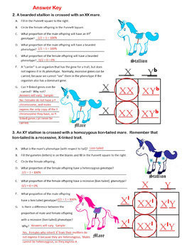 Unicorn Genetics Sex Linked Traits Punnett Squares Worksheet (Genetics)