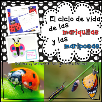 Preview of Unidad Ciclo de Vida - Mariquita y Mariposa | Distance Learning