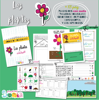 Preview of Unidad: Las Plantas