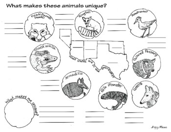 Preview of Unique Animals of the Southwest, California Treasures 5.5