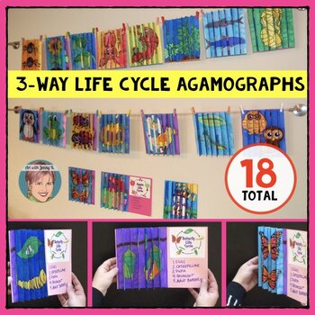 Preview of Life Cycles of a Butterfly, Frog, Plant & More | Fun 3-Way Agamograph Collection