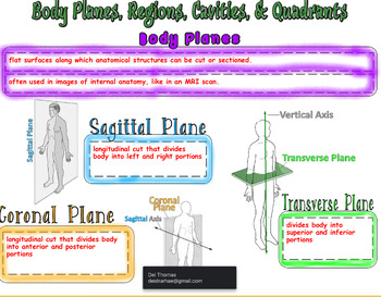 Preview of Unit 1.5: Body Planes,  Cavities, Regions,  &  Quadrants