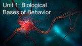 Unit 1: Biological Bases of Behavior (AP Psychology) PPT