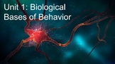 Unit 1: Biological Basis of Behavior (BUNDLE)