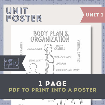 Preview of Unit 1 Body Plan and Organization Poster - Anatomy Freebie