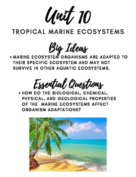 Preview of Unit 10: Tropical Marine Ecosystems