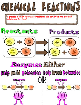Preview of Unit 2.5: Enzymes