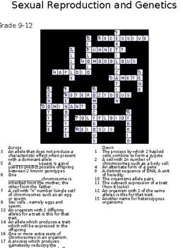 Unit 2 Biology Crosswords 3 Genetics Crosswords With Keys By Nancie Martin