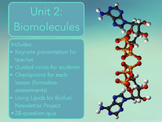 Unit 2: Biomolecules