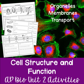 Preview of AP Biology Unit 2: Cell Structure and Function Activities Packet
