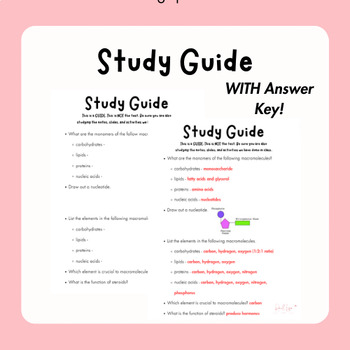 Preview of Unit 2 - Cheeseburger Study Guide